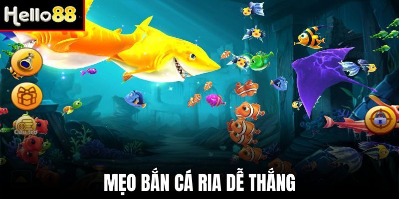 Bắn cá ria không bỏ lỡ bất cứ mục tiêu nào.